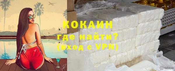 шишки Магас