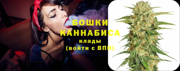 шишки Магас