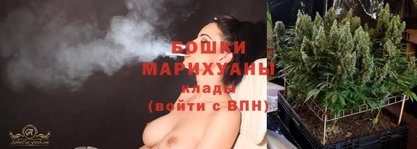 эйфоретик Липки