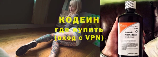 шишки Магас