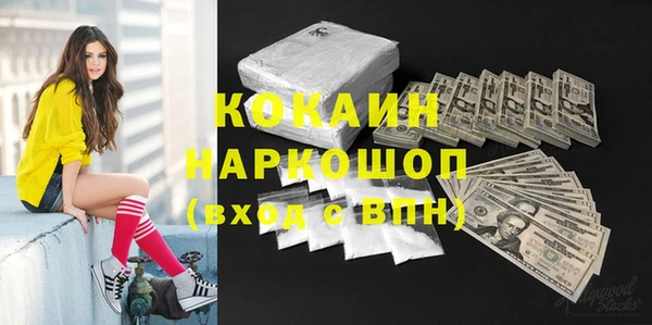 шишки Магас