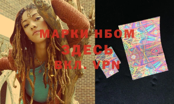 шишки Магас
