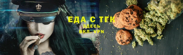 шишки Магас