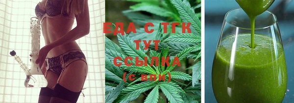 шишки Магас