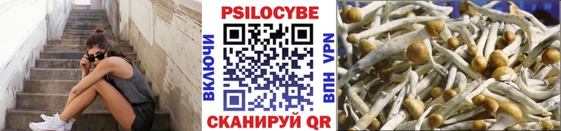 сколько стоит  Томмот  Галлюциногенные грибы GOLDEN TEACHER 